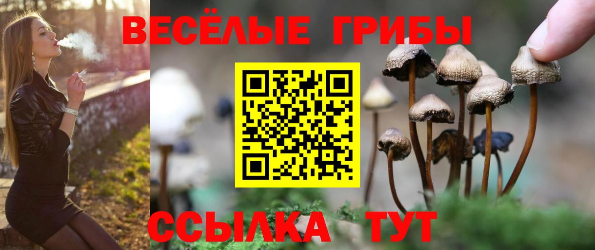 Чебаркуль  Галлюциногенные грибы Magic Shrooms  Вход с VPN 